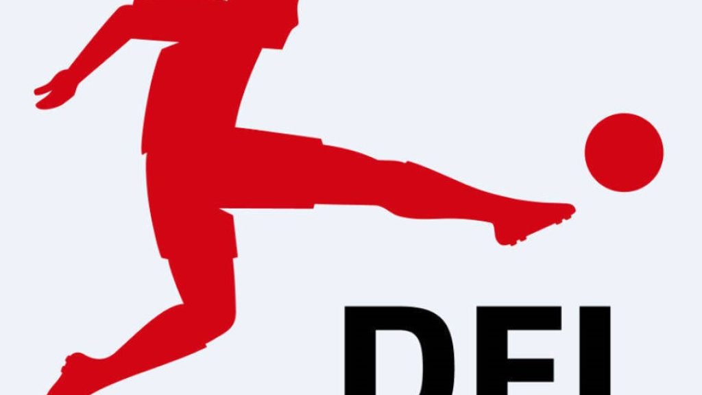 dfl logo
