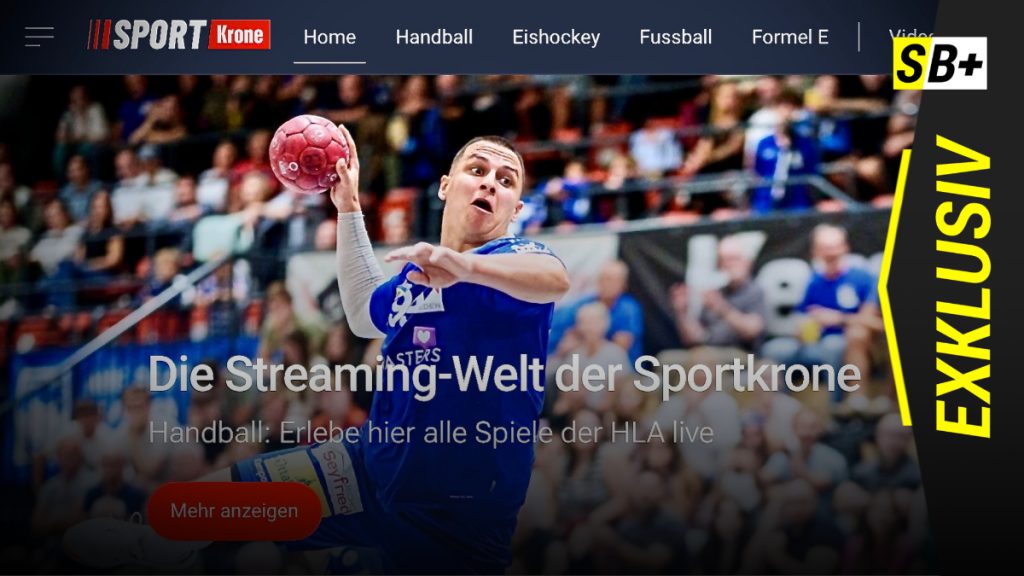 sb plus vorlage neu (7)